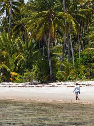 Benefícios da caminhada Ponta dos Castelhanos Boipeba