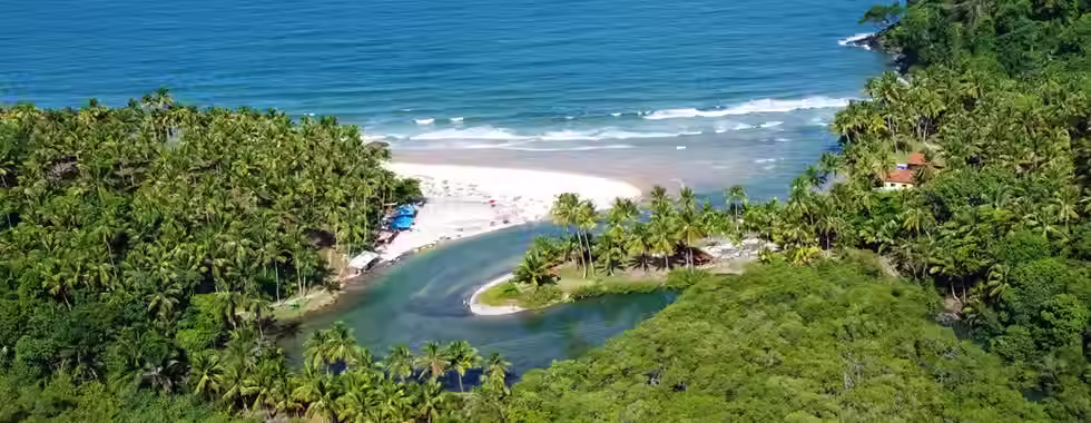 Praia de Jeribucaçu: natureza e trilha em Itacaré