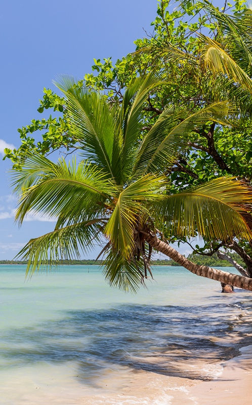 Praia de Moreré Boipeba paraíso baiano