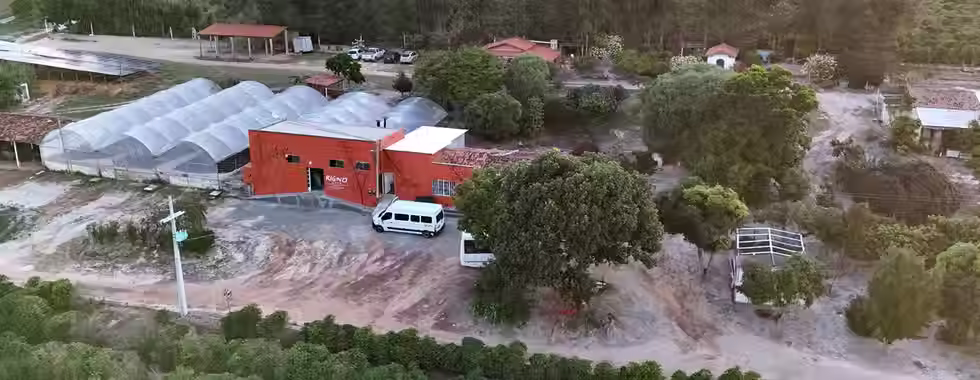 Café Rigno e seus cafés especiais da Chapada Diamantina