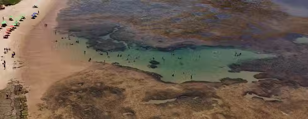 Praia do Lord: conheça todos seus encantos