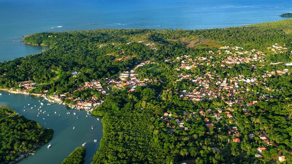 Caminho de areia cercado por vegetação nativa na Ilha do Mel