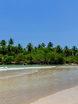 Viagem dos sonhos