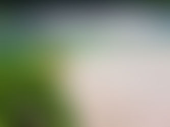 7 lagoas na Bahia que vale a pena conhecer