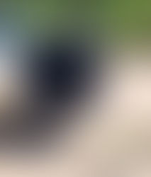 Road trip Bahia: saiba que praias do sul do estado incluir