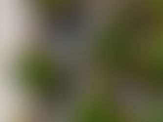 Barra de Serinhaém: um refúgio tranquilo cheio de natureza