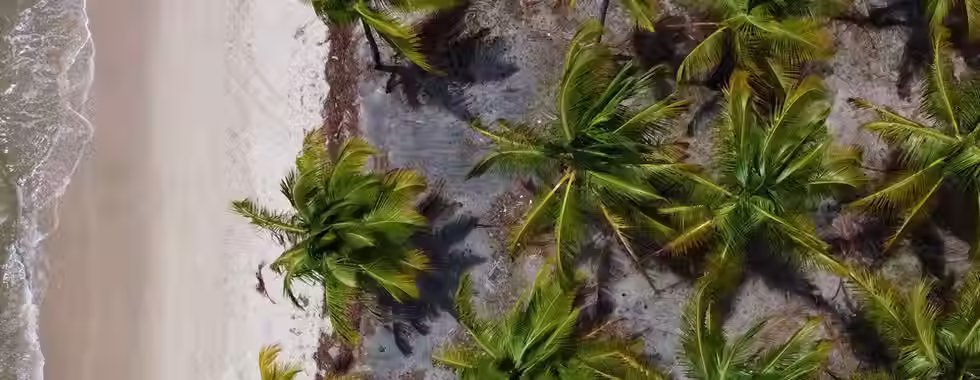Barra de Serinhaém: um refúgio tranquilo cheio de natureza
