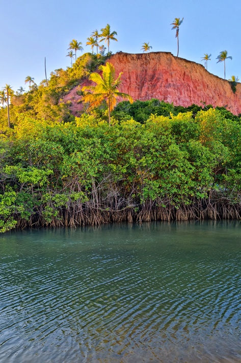 Falésias coqueiros manguezal Praia de Taipe Arraial d'Ajuda