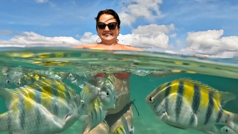 peixinhos e mar cristalino nas piscinas naturais de morere