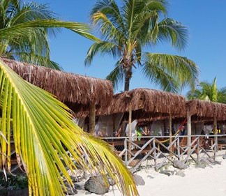 Restaurante Manguezal