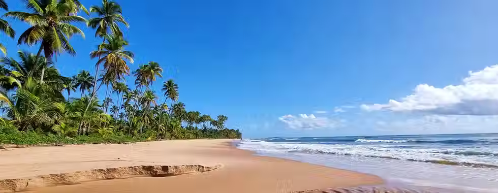 6 restaurantes em Barra Grande que valem a pena