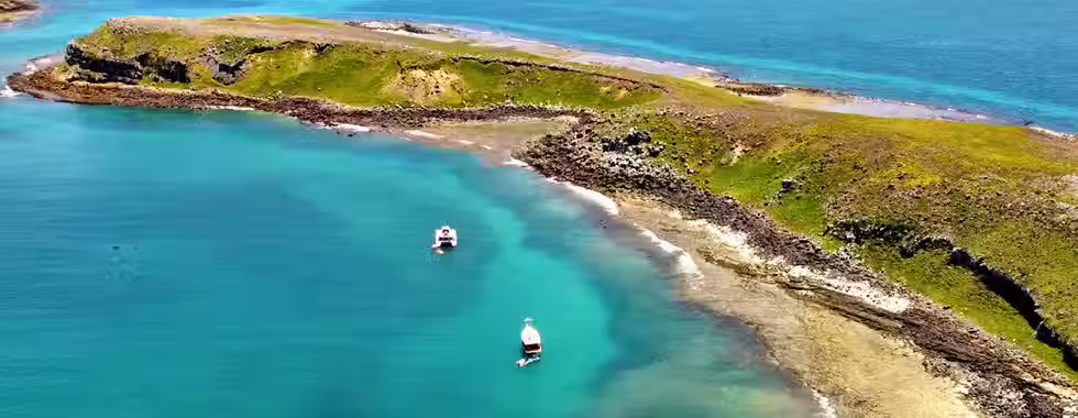 Mergulho em Abrolhos: conheça os detalhes