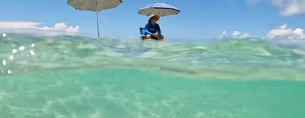 Piscinas naturais na Bahia: 15 destinos apaixonantes