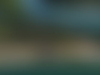 Rio Carapitangui: mais uma beleza natural em Barra Grande