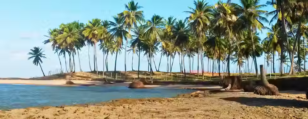 Conde - Bahia: confira detalhes desse lugar adorável