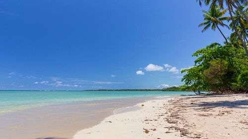 Praia de Moreré na Ilha de Boipeba