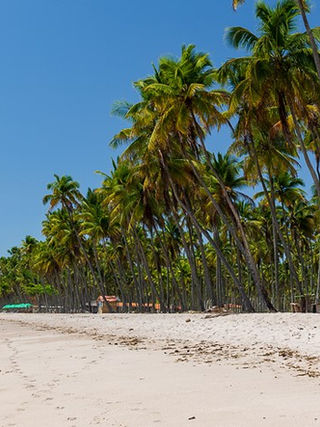 Boipeba em novembro: conheça a ilha antes da alta temporada