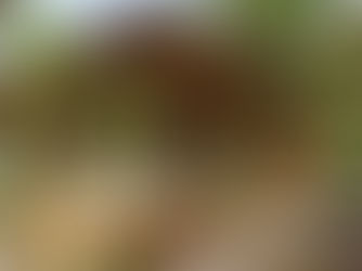 Blue Praia Santo Antônio: chalés e beach club