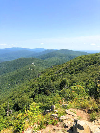 PHOTO-2022-11-24-15-33-47 copy 2_edited.jpg