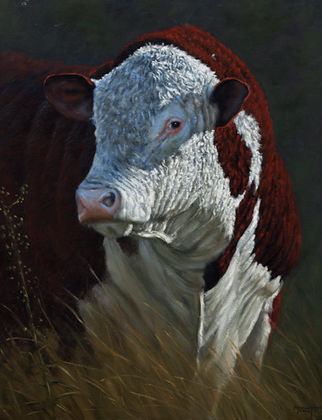 "Touro Hereford".
Óleo sobre tela, 80 x 60 cm, 2019.
VENDIDO - SOLD