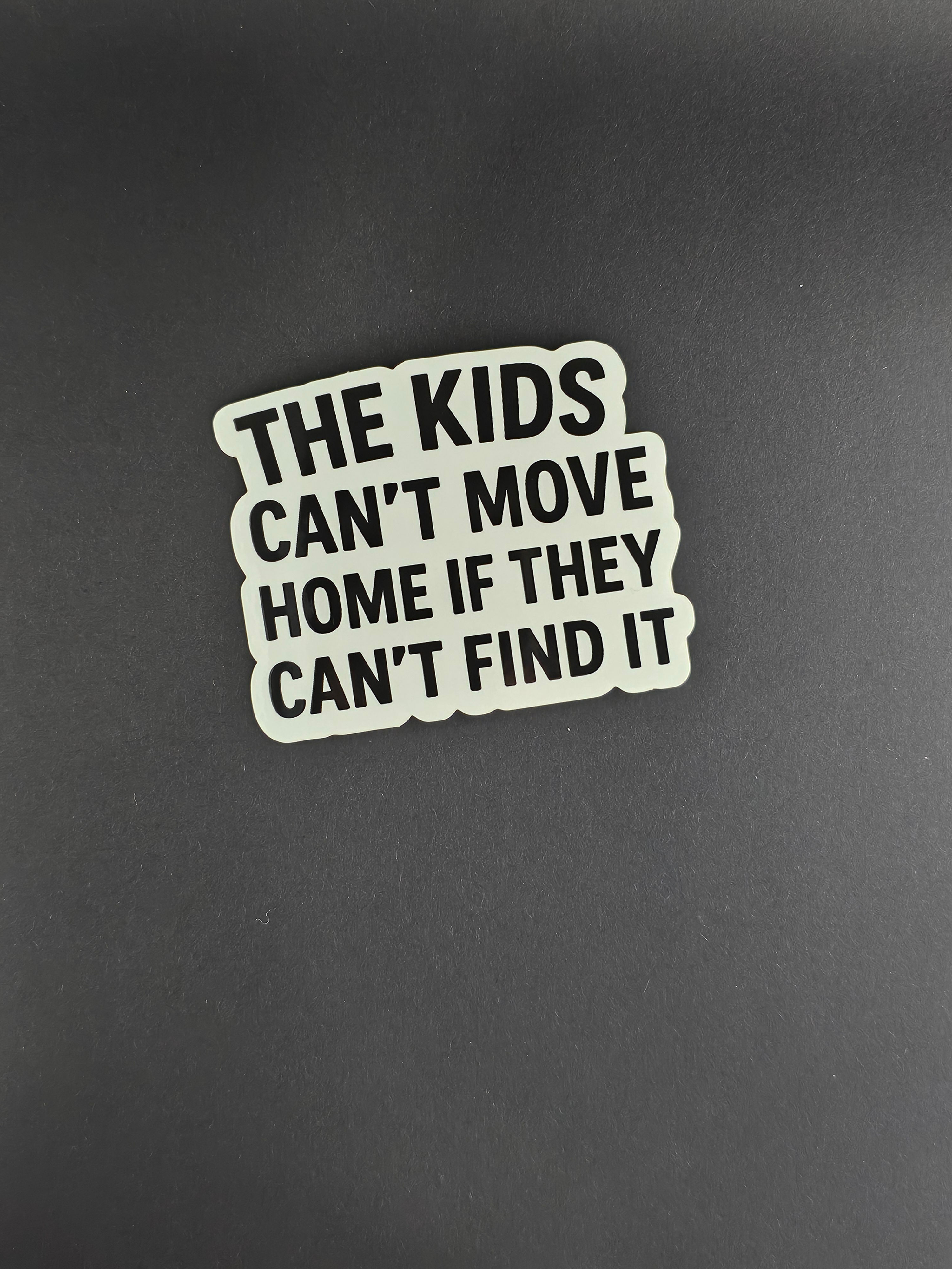 The kids can't move home Sticker