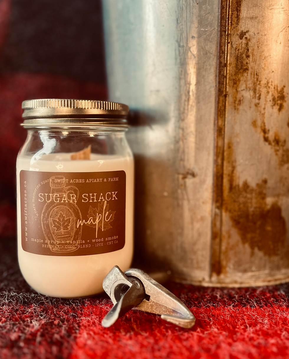 Thumbnail: HOMESTEAD GLOW CANDLE COLLECTION