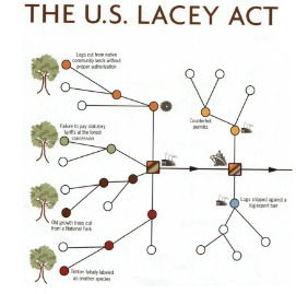 The Lacey Act