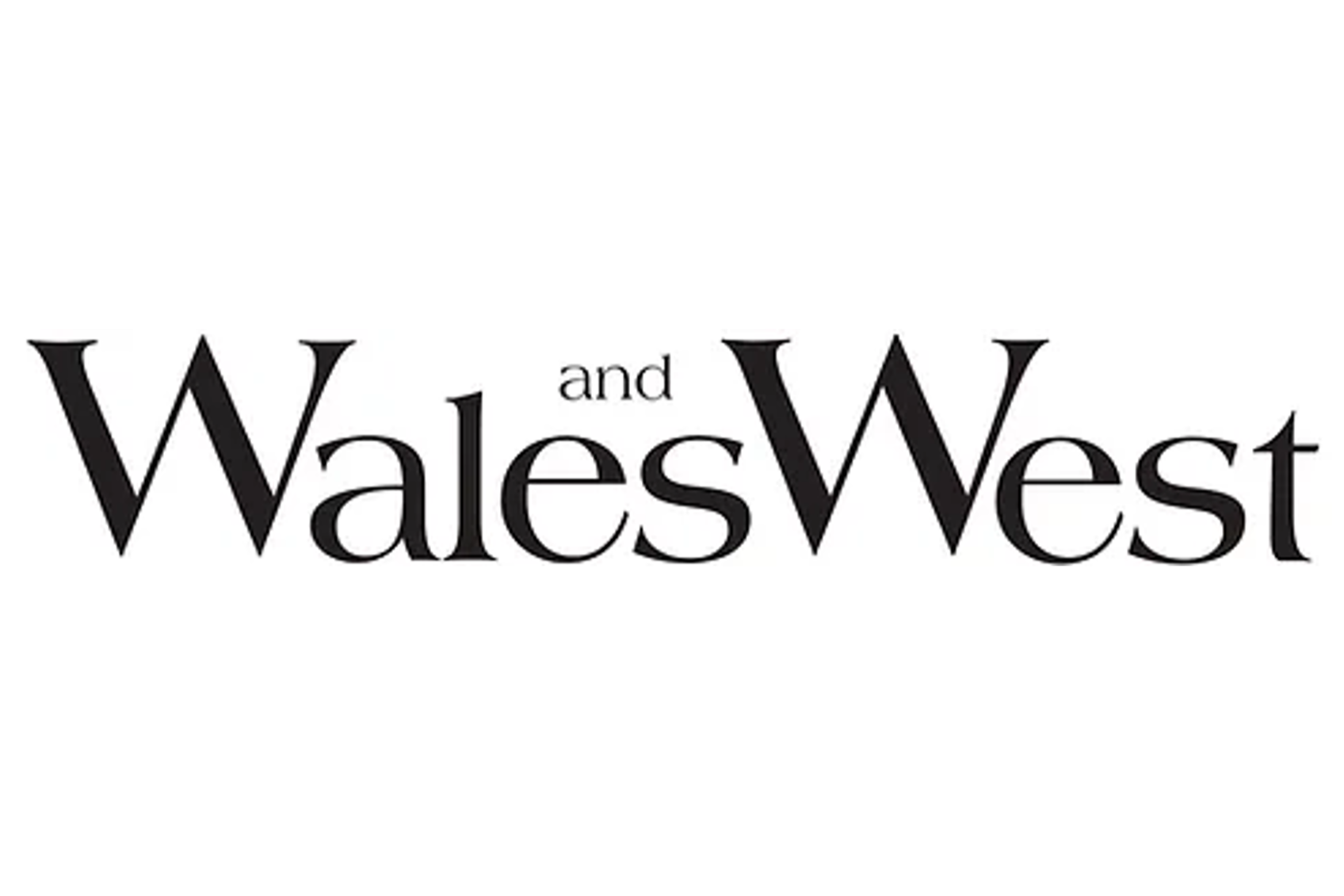 Welsh Home Pony