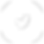 Twitter - White Circle