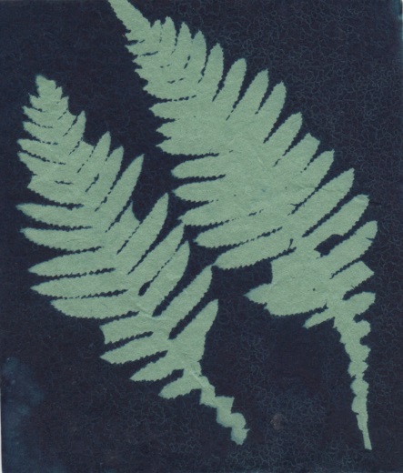 Bush Trinkets - Green Leaves