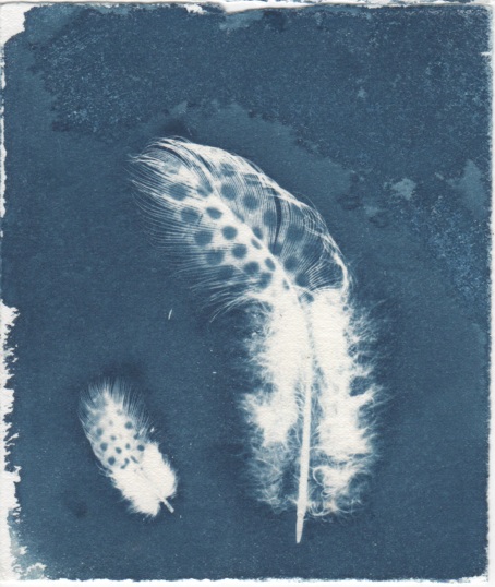 Bush Trinkets - Feathers
