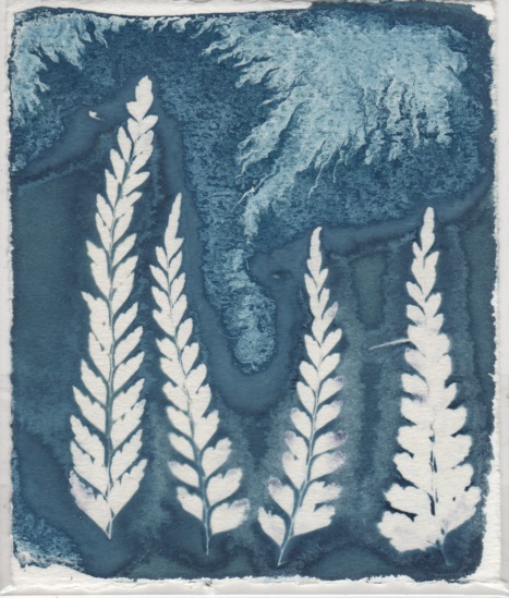 Bush Trinkets - Fern