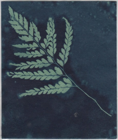 Bush Trinkets - Green Leaves