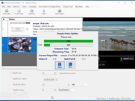 Simple Video Splitter Crack Download For Windows