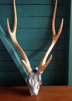 "shiva 's deer"