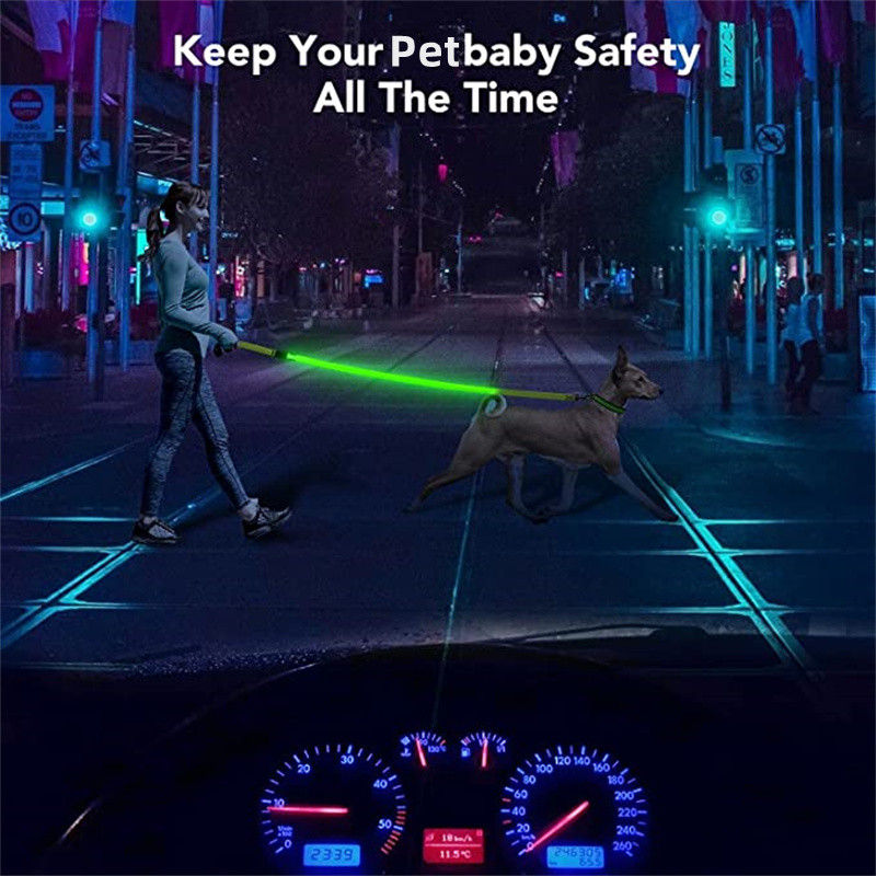 Thumbnail: Glow in Dark Leash