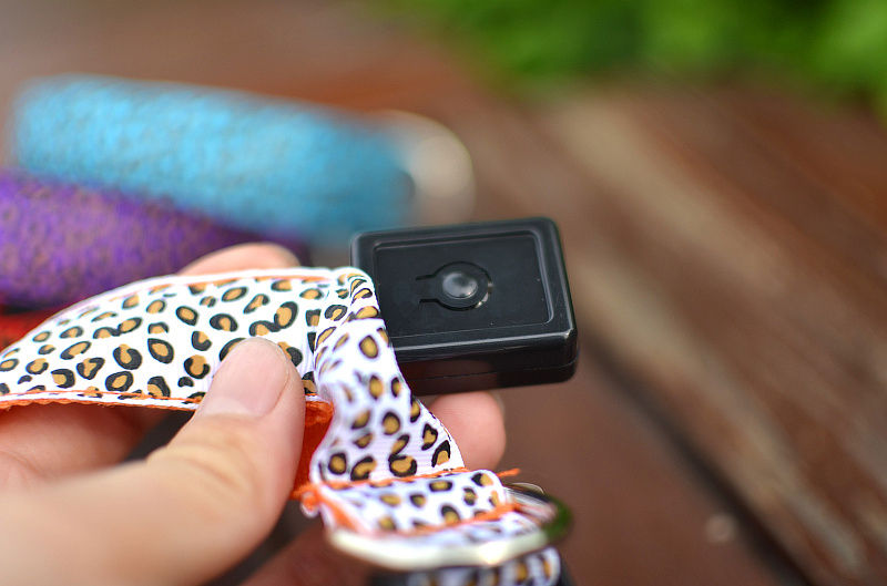 Thumbnail: LED Leopard Nylon Pet Collar ( For Dogs & Cat).