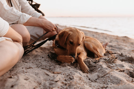 paarfotografie_coupleshooting_freundinnenshooting_stuidoifotografie_rostock_stralsund_neub