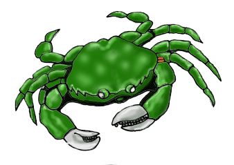 shorecrab.gif