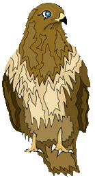 buzzard.gif