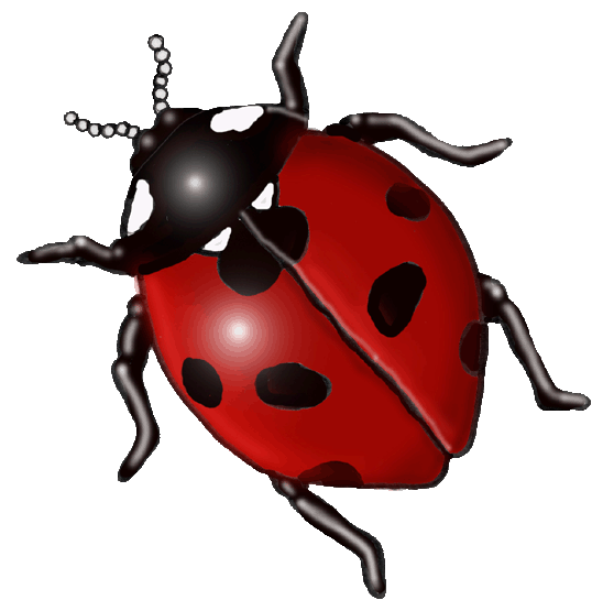 ladybird.gif