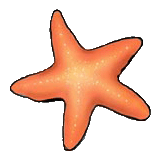 starfish.gif