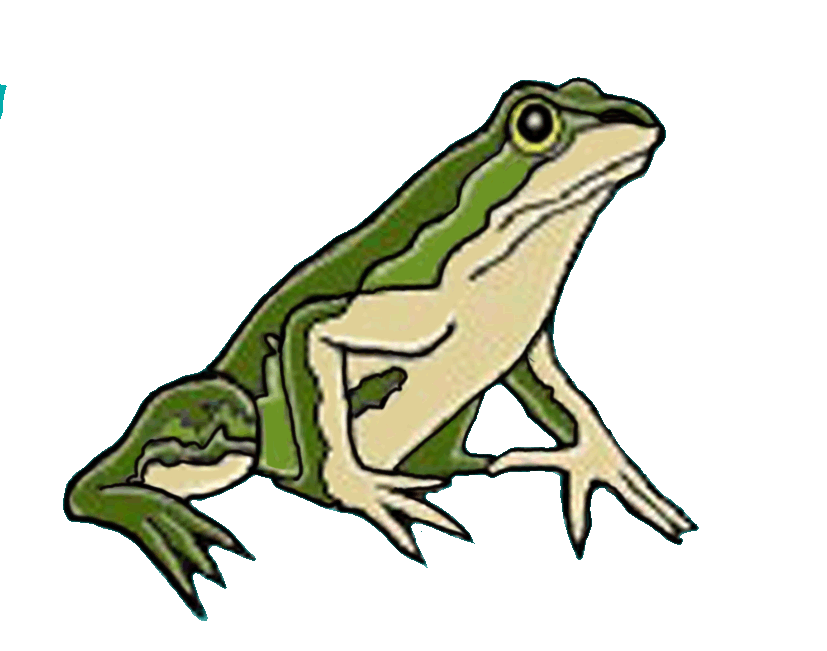 frog.gif