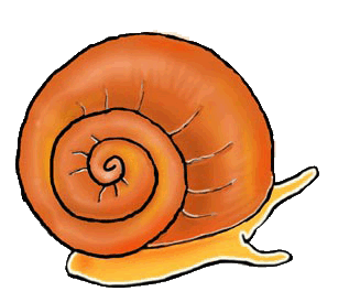 snail.gif