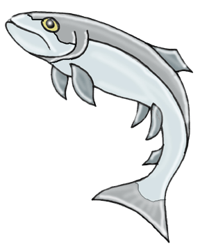 trout.gif