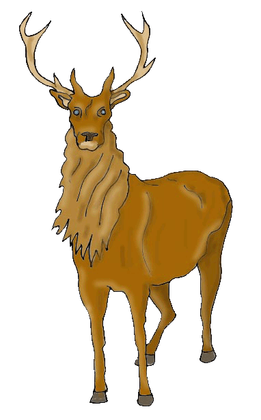 deer.gif