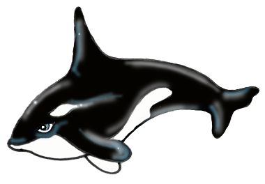 whale.gif