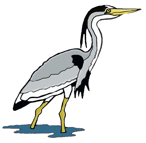 heron.gif