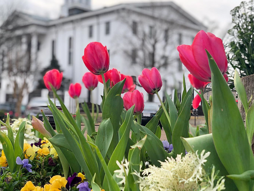 How Do You Take Your Spring Break?