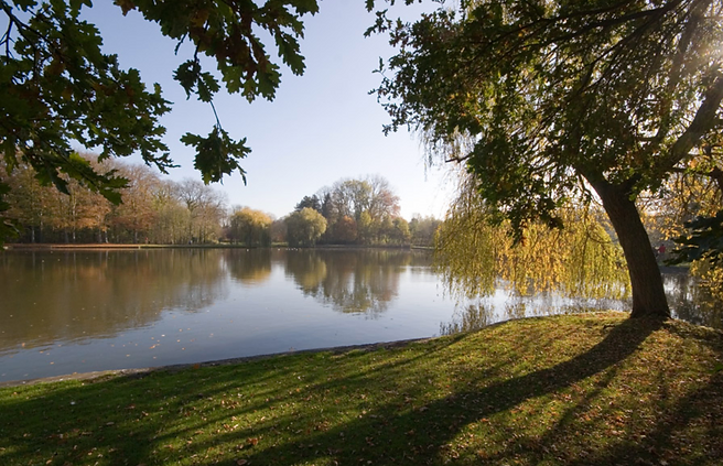 Vrijbroek.webp